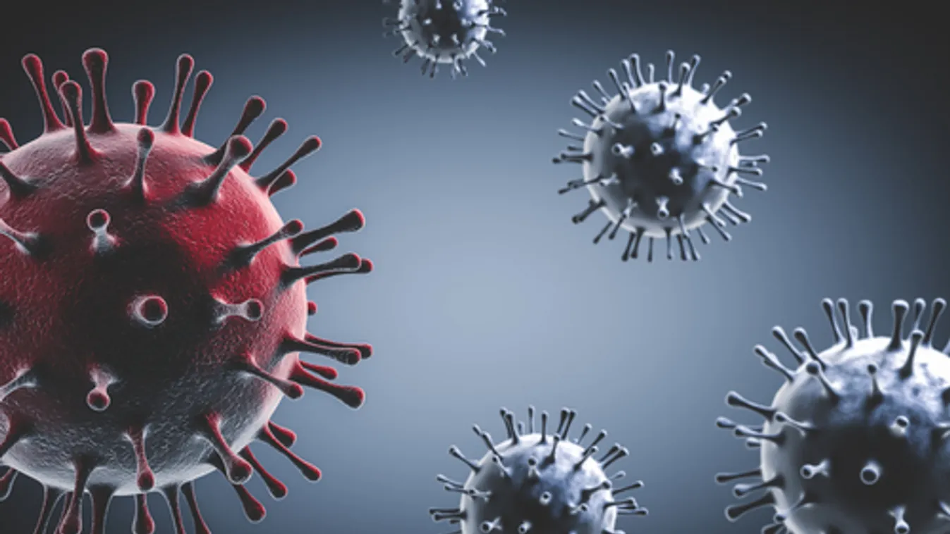 Koronavírus: 5162 új fertőzött, 55 elhunyt