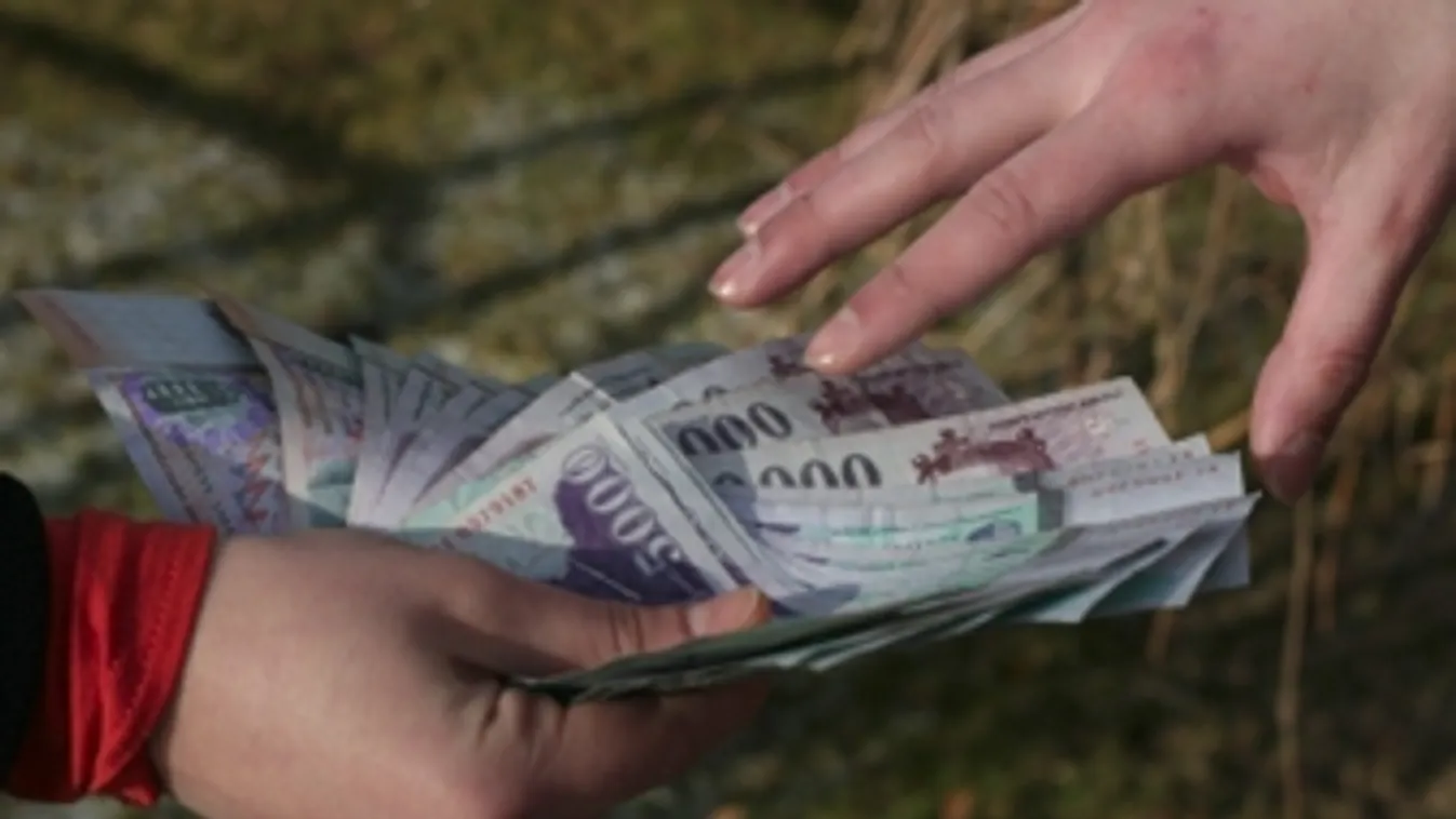 Boltocskázás – Riasztás