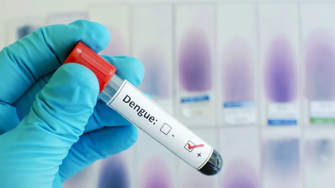 Dengue-láz miatt közegészségügyi veszélyhelyzetet hirdettek Rio de Janeiróban
