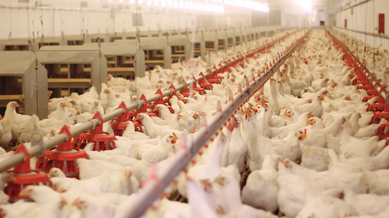 Június végétől új támogatás segíti a szakképzett munkaerő megtartását az agráriumban