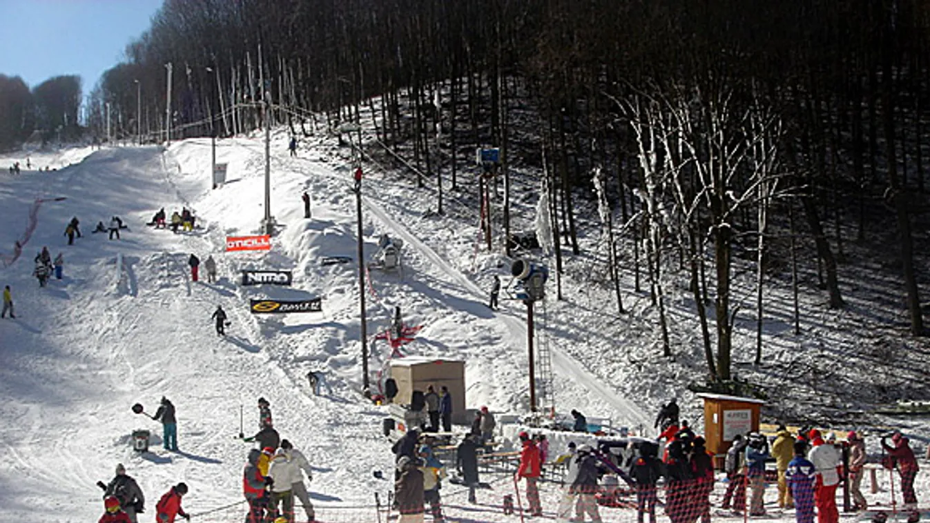 Leginkább ők örülnek a hidegnek és a hónak