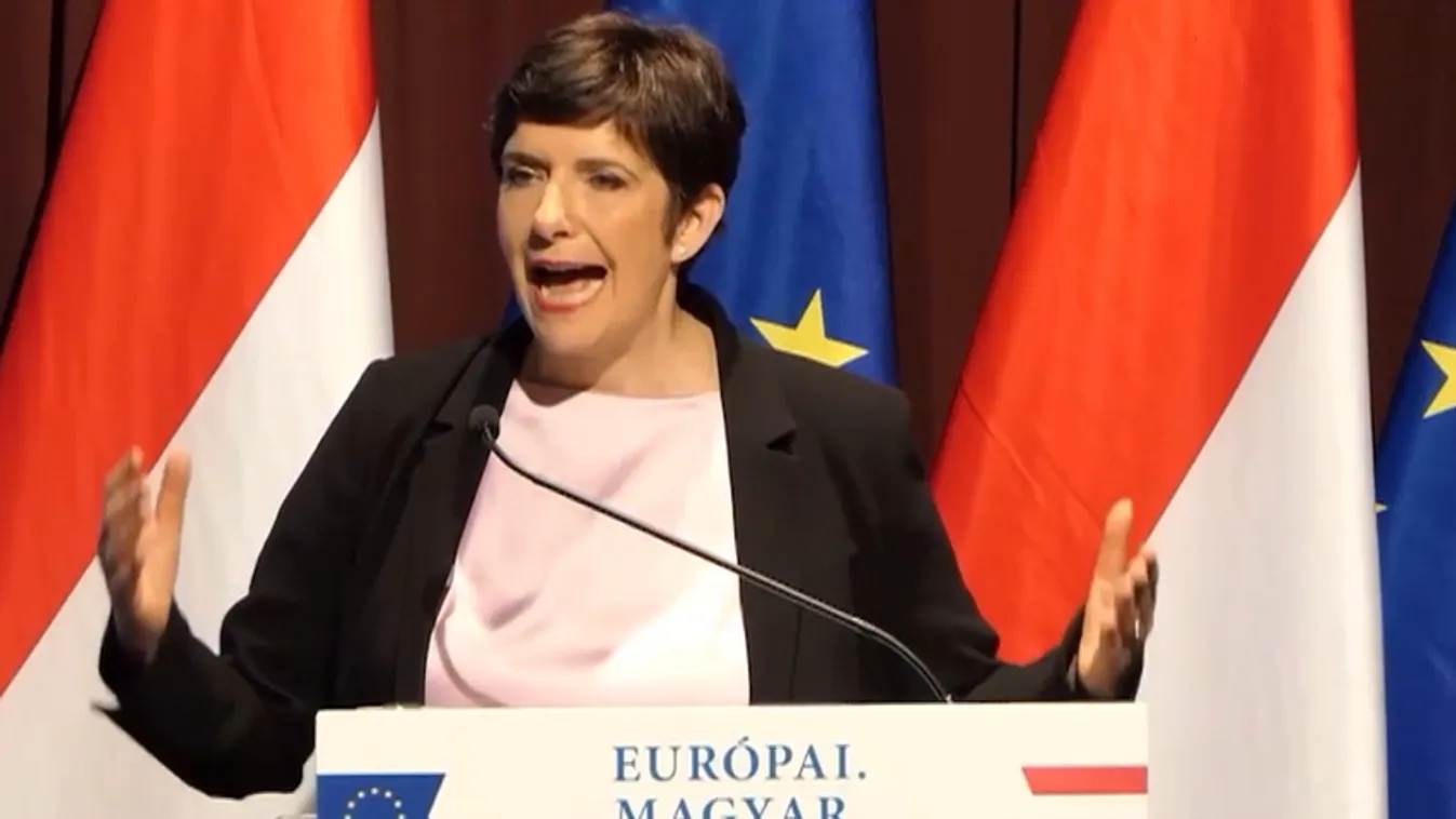 Saját programjának bemutatása helyett a kormányt gyalázta a DK