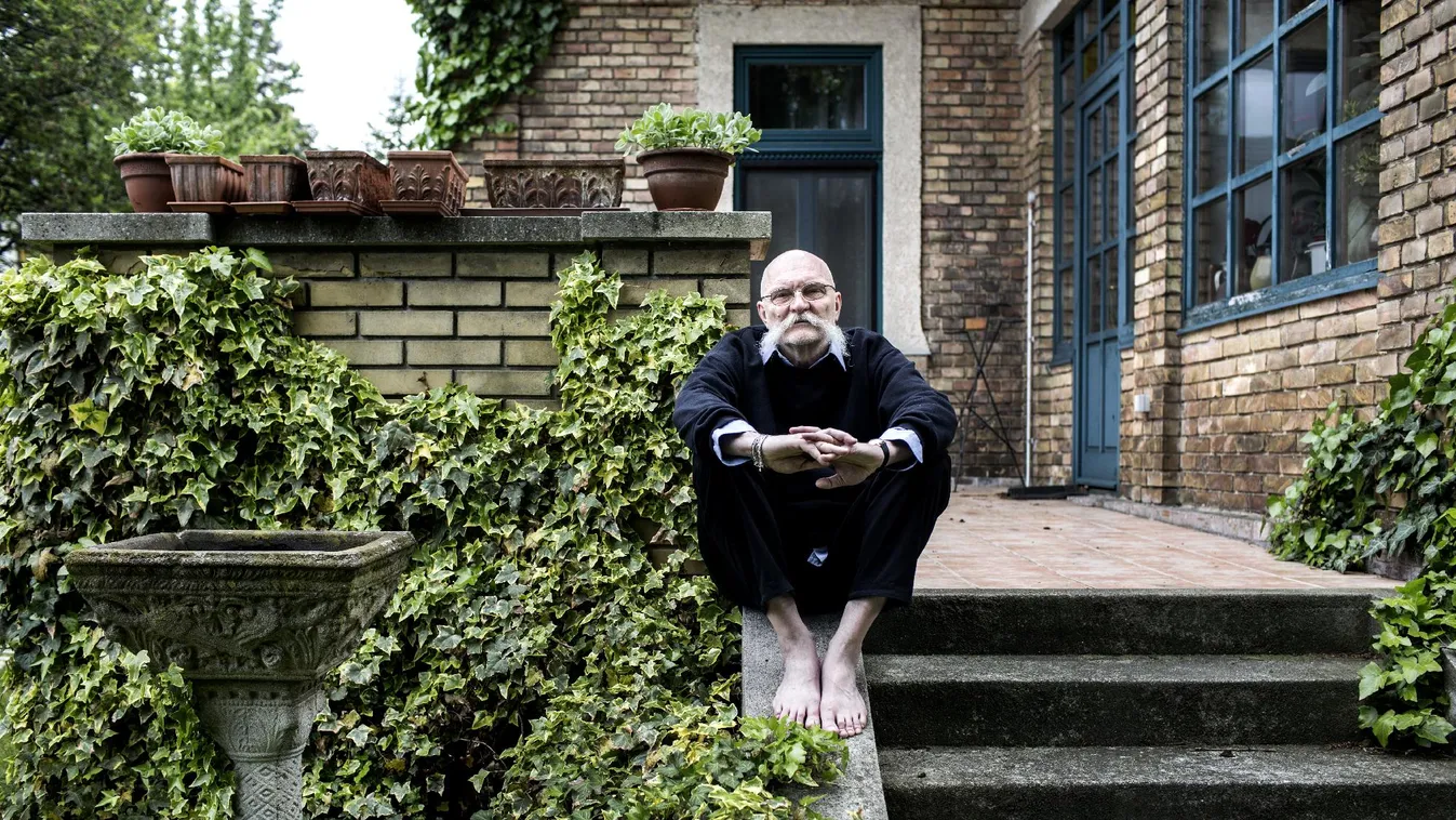 Ötvenmilliót érő paca