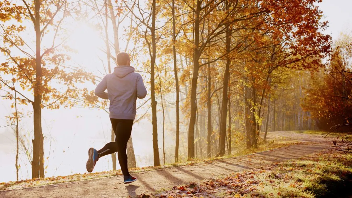 Több testmozgást szorgalmaz a WHO