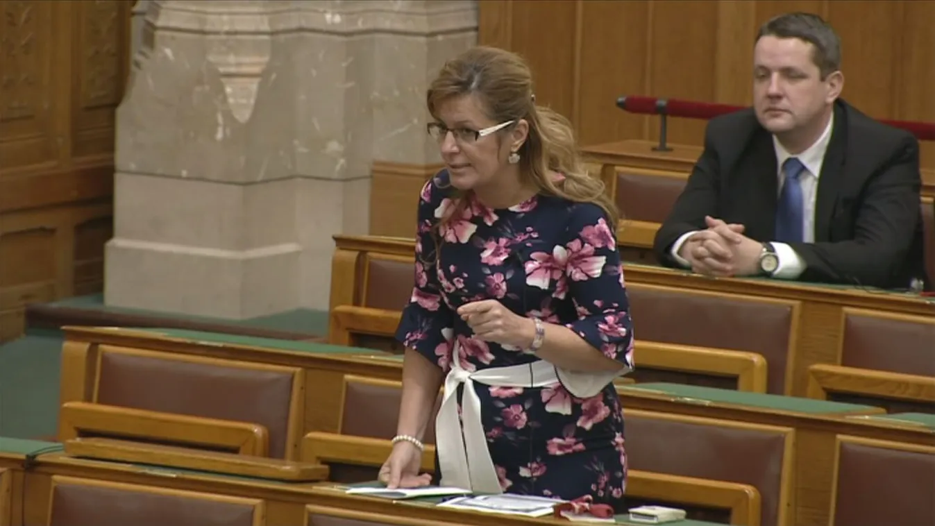 Bangóné: Államtitkár úr, a szegényeket ne alázzák meg