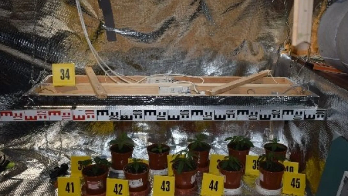 Három településen csaptak le