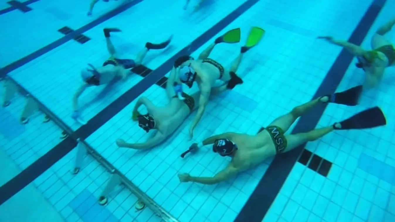 Vízihoki – Felfedező best of