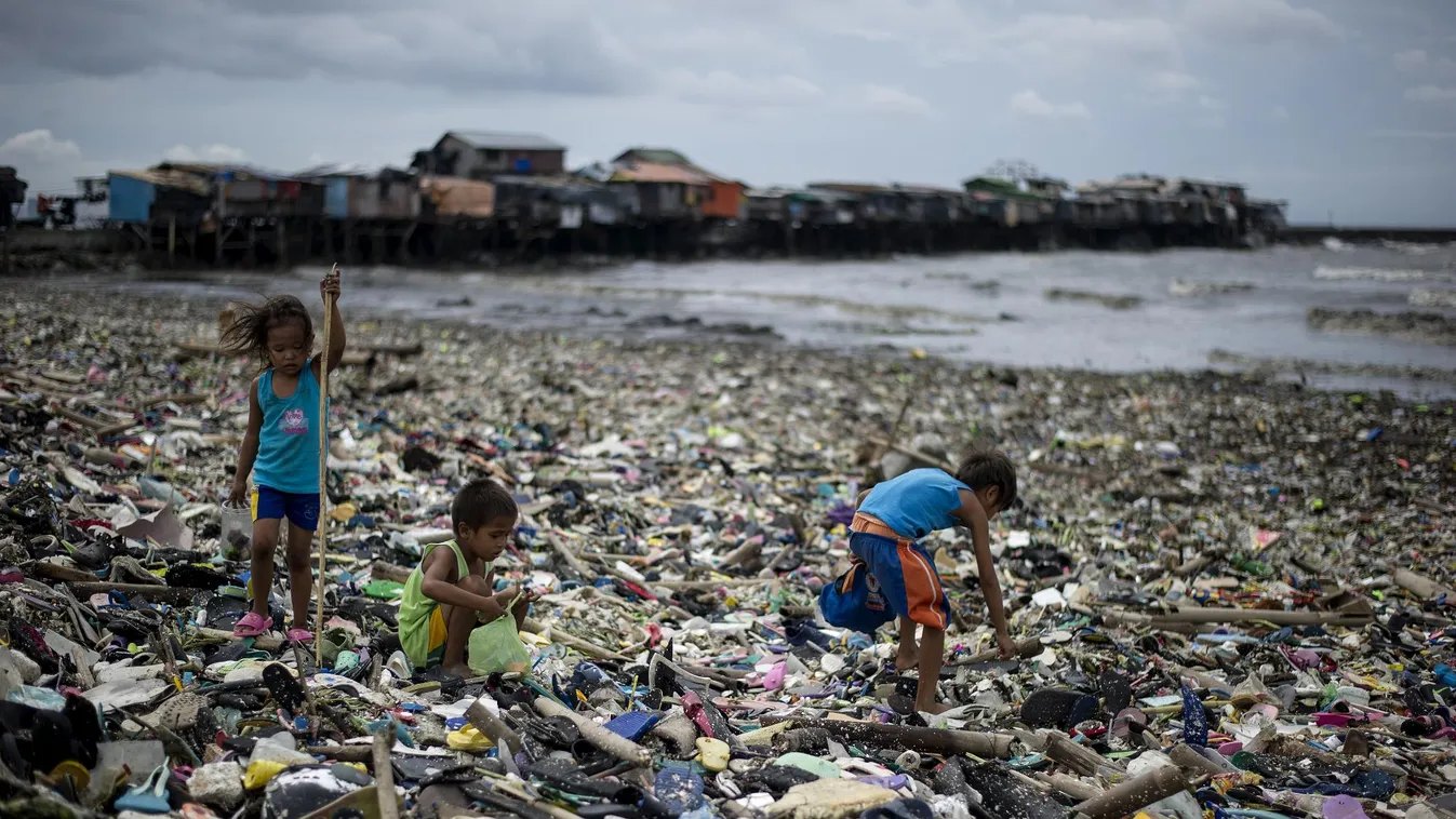 PET-faló - Felfedező