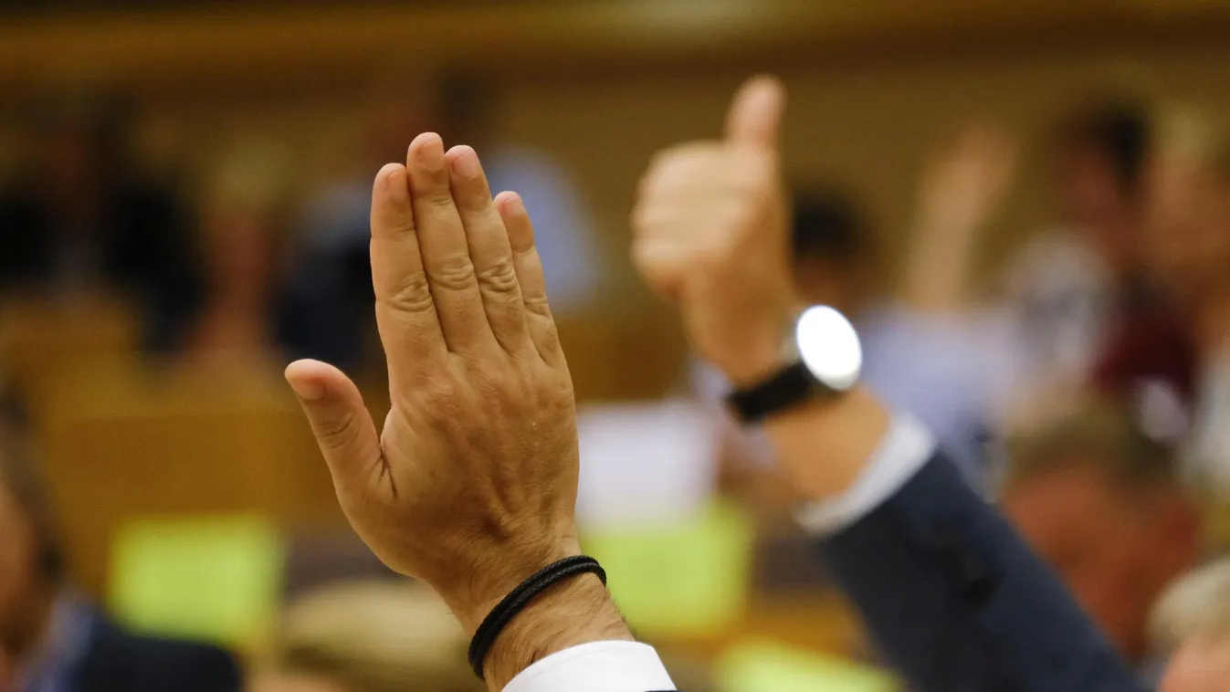 „Hajmeresztő, hogy mire szavaztak igennel a tiszás EP-képviselők”