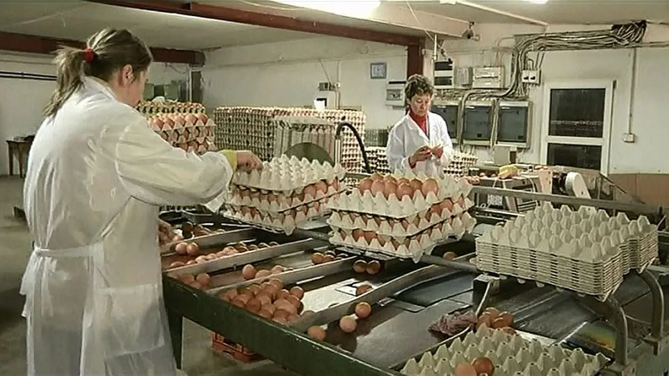 A szomszédban is felbukkant a szennyezett tojás