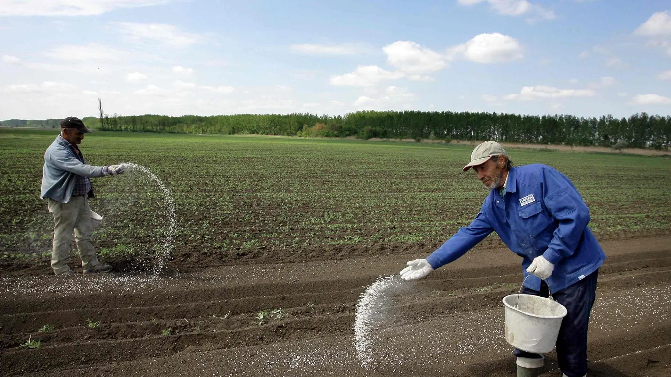 Nagy a kereslet az alkalmi és az idénymunkára