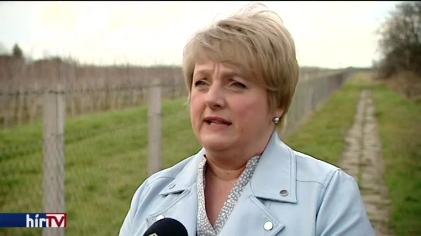 Békés megye 1. számú választókerülete