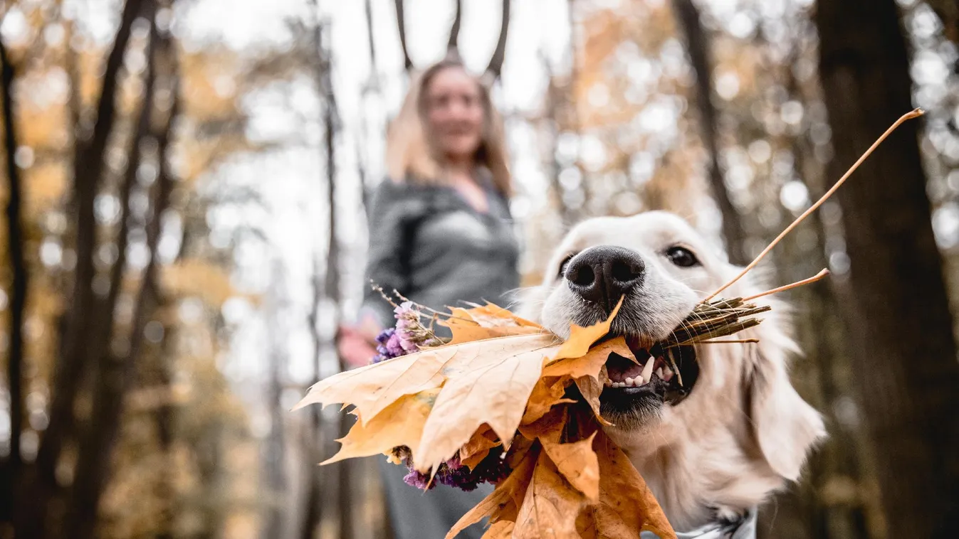 Több mint egymillió vendégéjszakát regisztráltak az őszi szünet alatt a szálláshelyeken