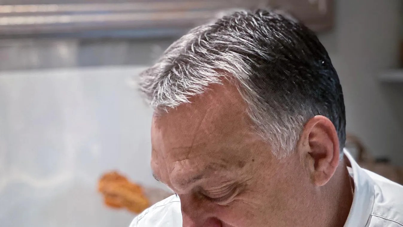 Megszületett Orbán Viktor ötödik unokája