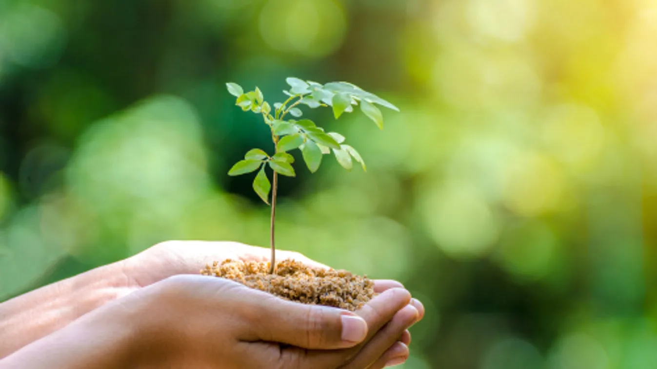 A Fidesz-frakció a Klíma- és Természetvédelmi Akcióterv parlamenti megerősítését kéri