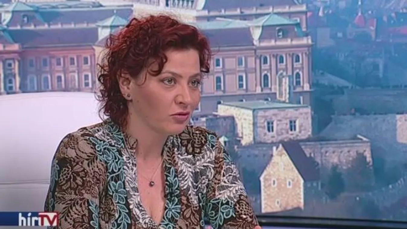 Vadai: Átjáróház lehet a magyar légtér