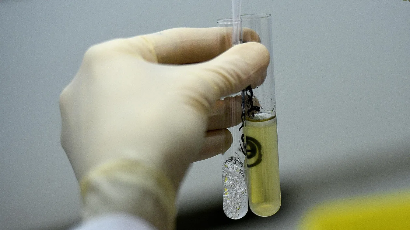 Fenntartották az oroszok eltiltását