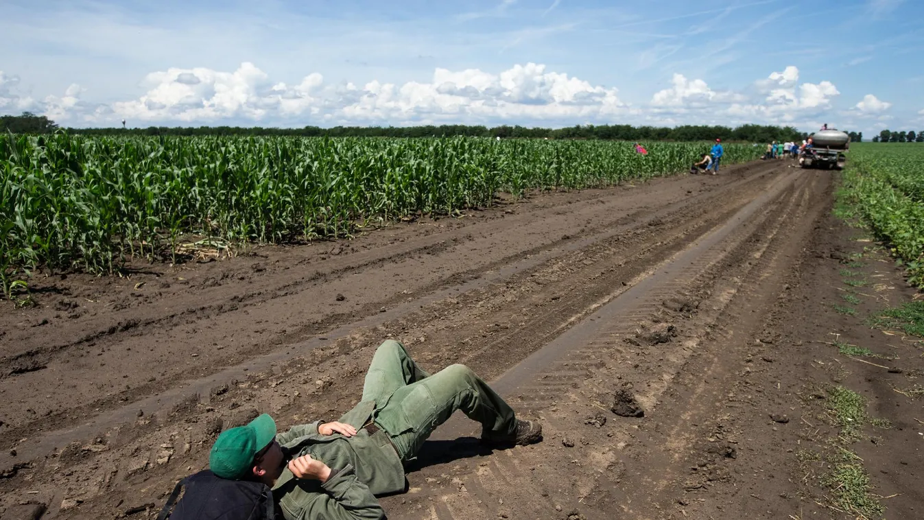 Már diákmunkára sincs elég fiatal