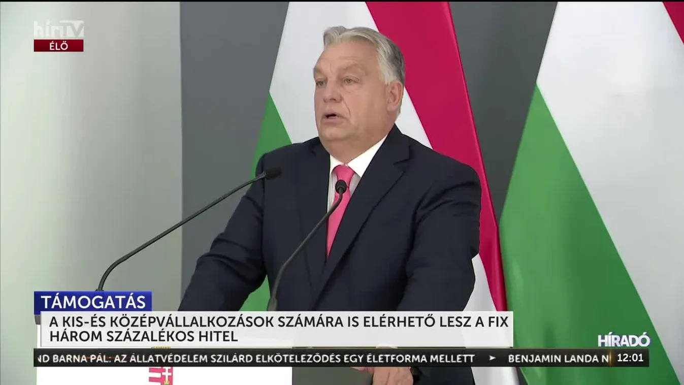 A kis-és középvállalkozások számára is elérhető lesz a fix 3 százalékos hite