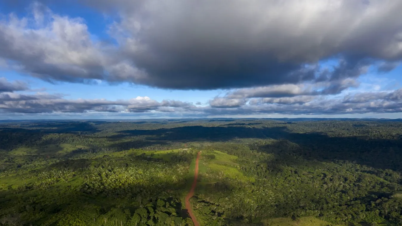 Elveszíti ellenállóképességét az amazóniai őserdő