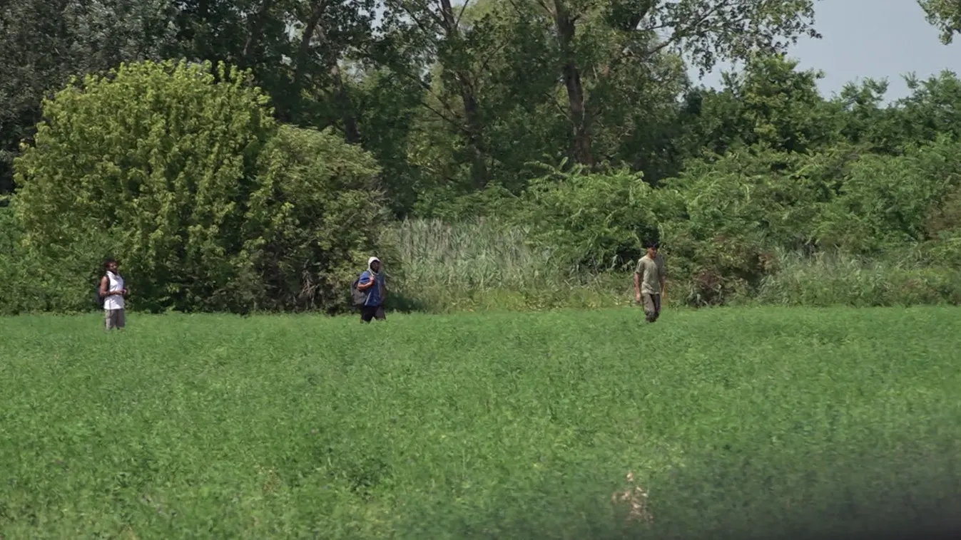 Egyre több migráns érkezik a Szabadka környéki erdőkbe