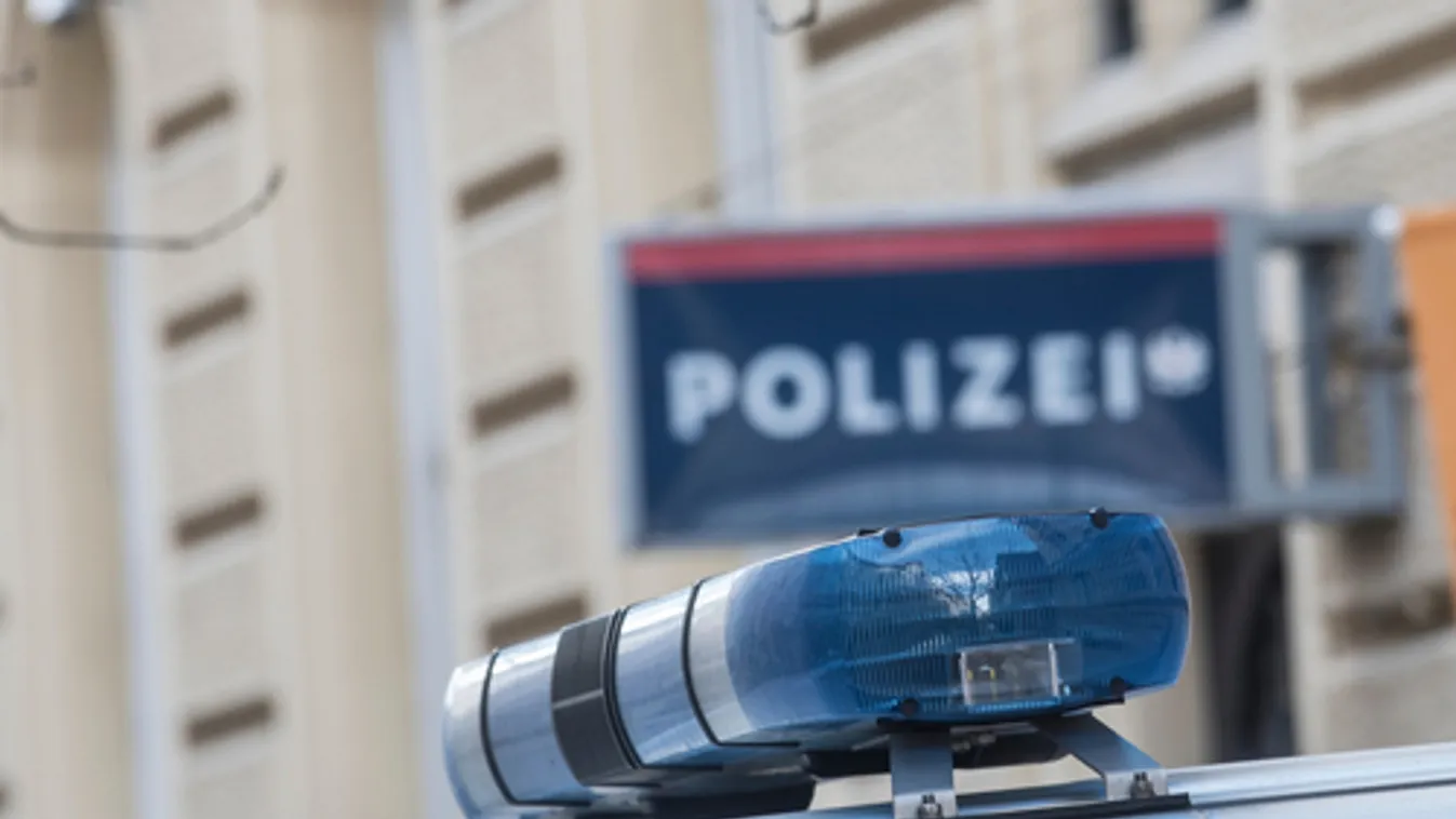 Fegyvereket foglaltak le, többeket előállítottak egy összehangolt európai művelet során