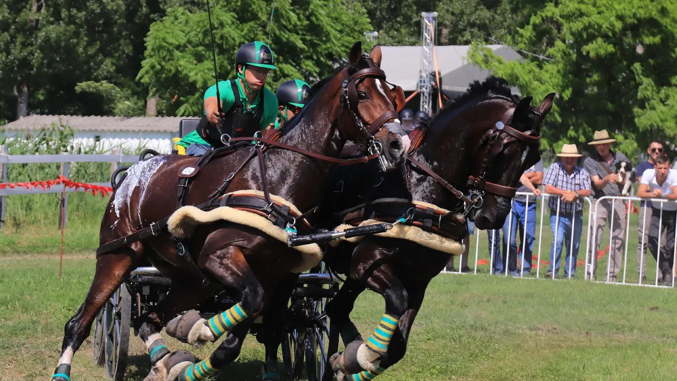 Lázár Vilmos szerint Hölle Martin a generációváltás üstököse