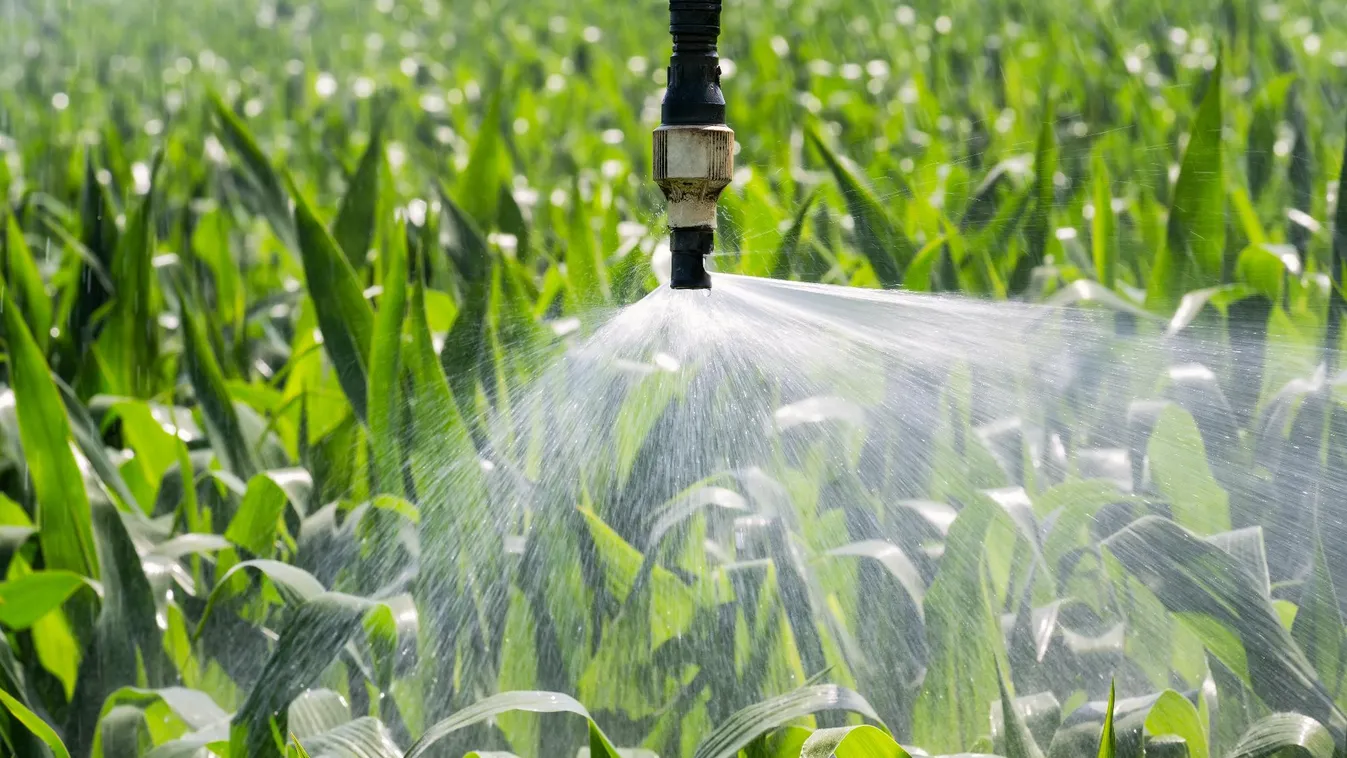 Megvan a titkos fegyver az aszály ellen – így tartja vissza a vizet Magyarország