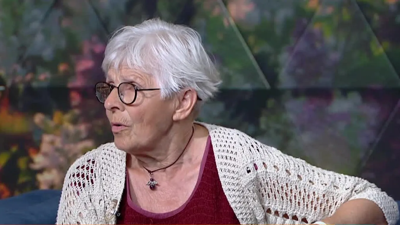 Mozaik - A régi fény ragyogjon - Szigetvár 1566 film szolnoki díszbemutató