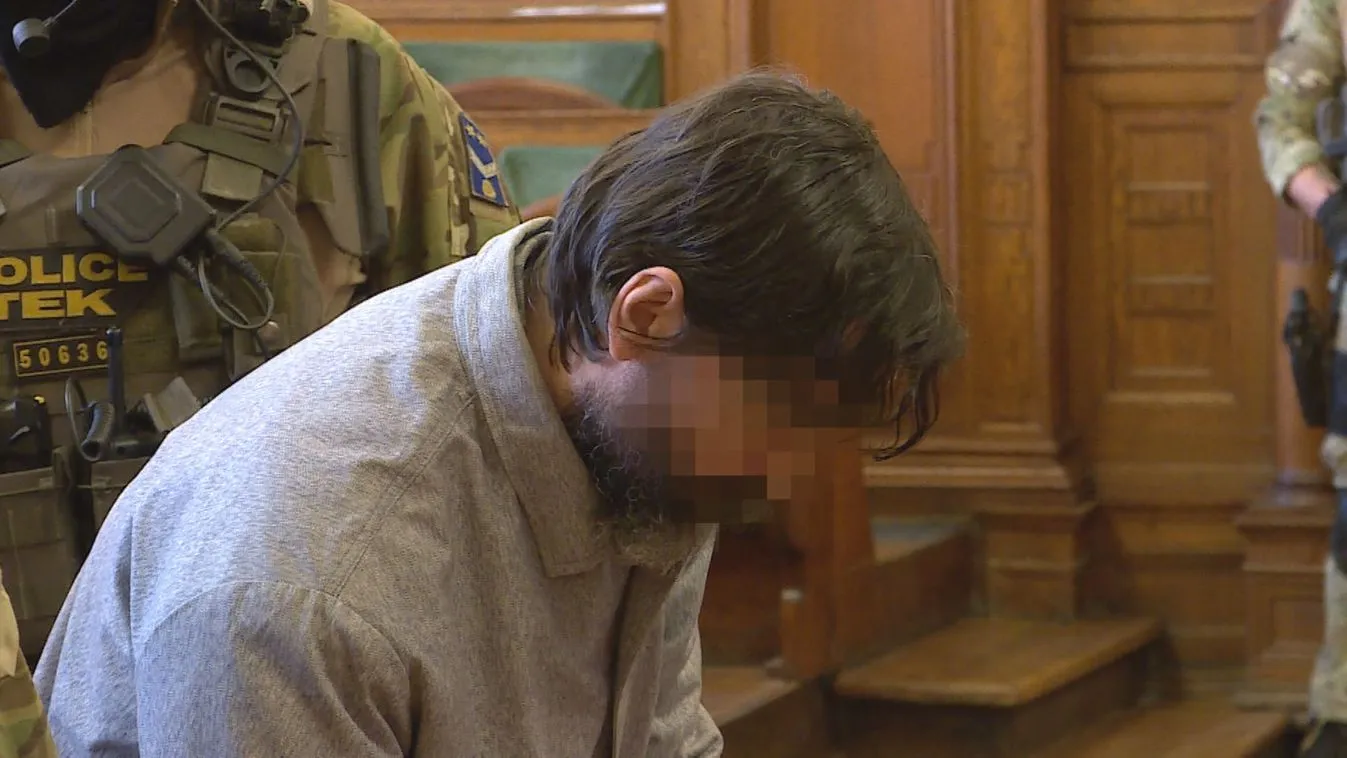 Jogerős: húsz év fegyházra ítélték Portik Tamást