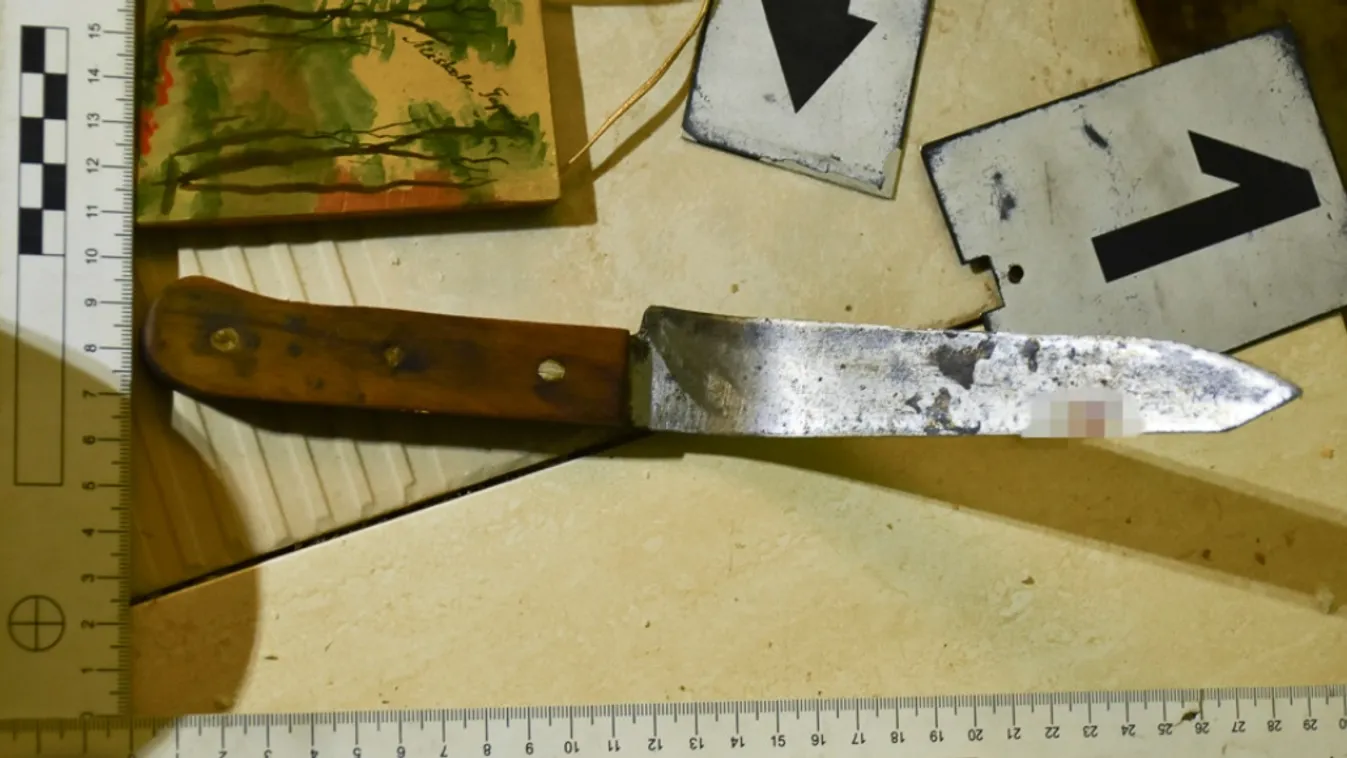 Fojtogatta, nyakon szúrta, végül vascsővel ütlegelte az idős férfit