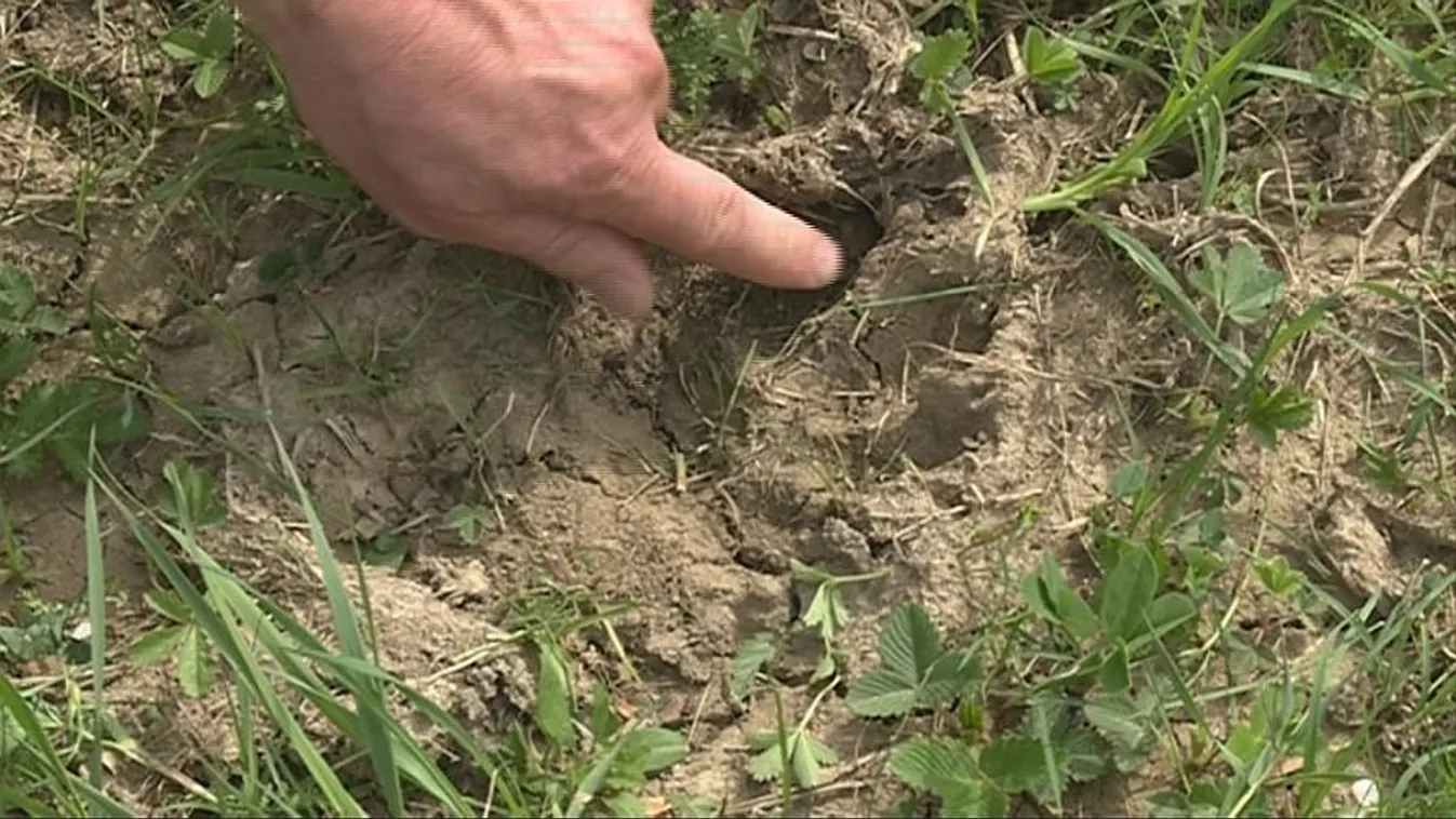 Farkasfalva okoz riadalmat – Soroló