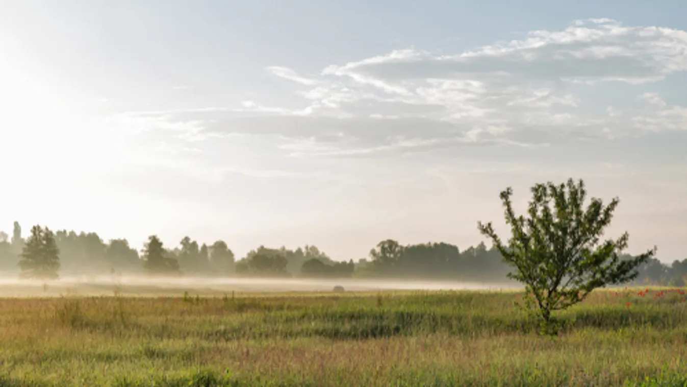 Jobbára napsugaras őszi idő köszönt ránk
