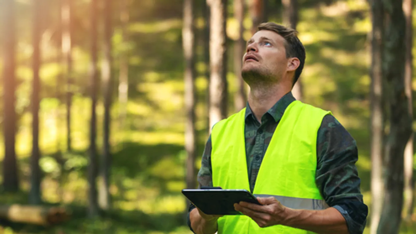 AM: magyar részvétellel zajlik a XV. Erdészeti Világkongresszus Szöulban