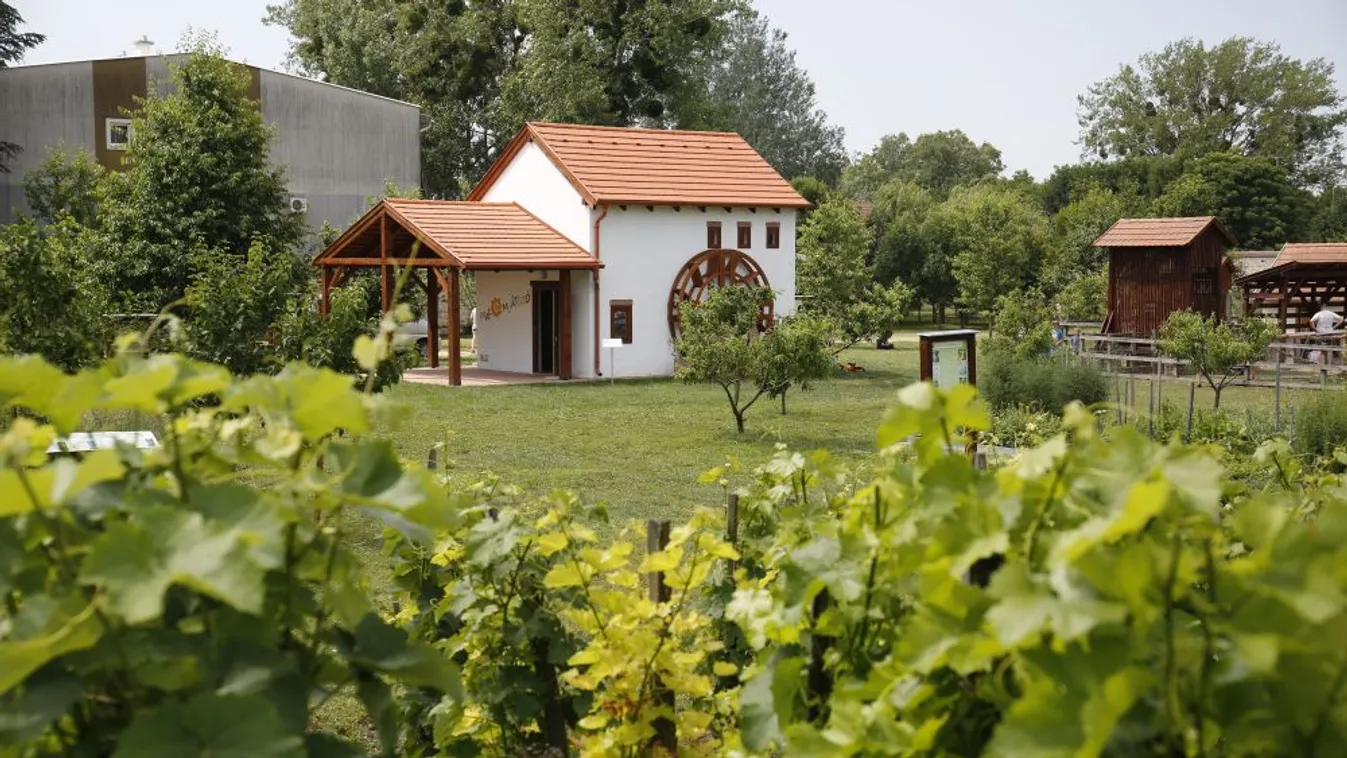 Nagy István: A társadalom alapja az agrárium