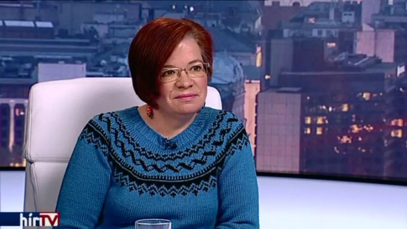 Az Ökotárs igazgatója: a civil szervezetek munkáját akadályozza meg a Stop, Soros!