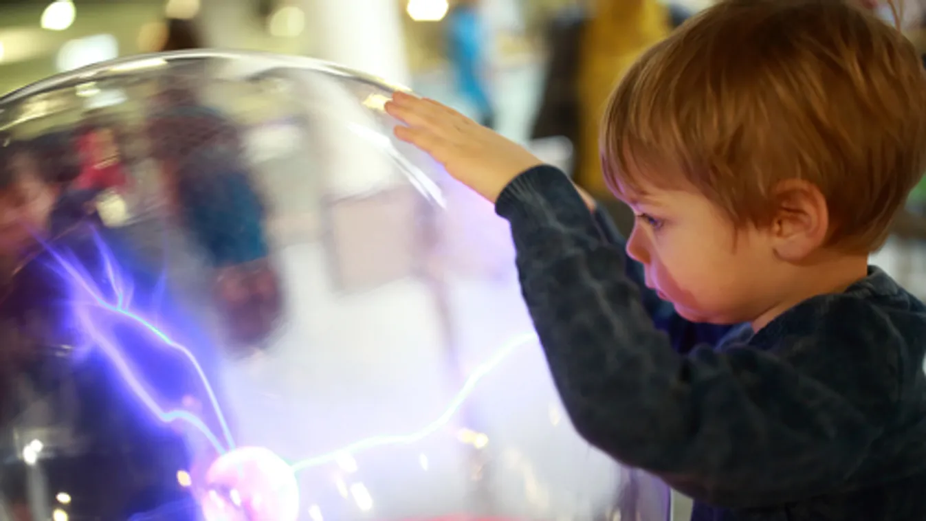 Karanténpályázat indul fővárosi múzeumok összefogásával