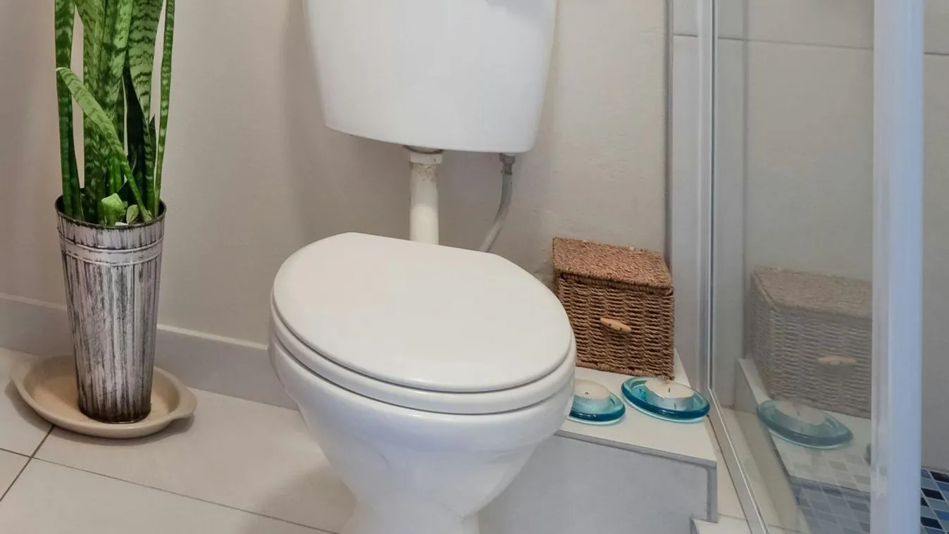 Döbbenet, mit húznak le egyesek a vécén
