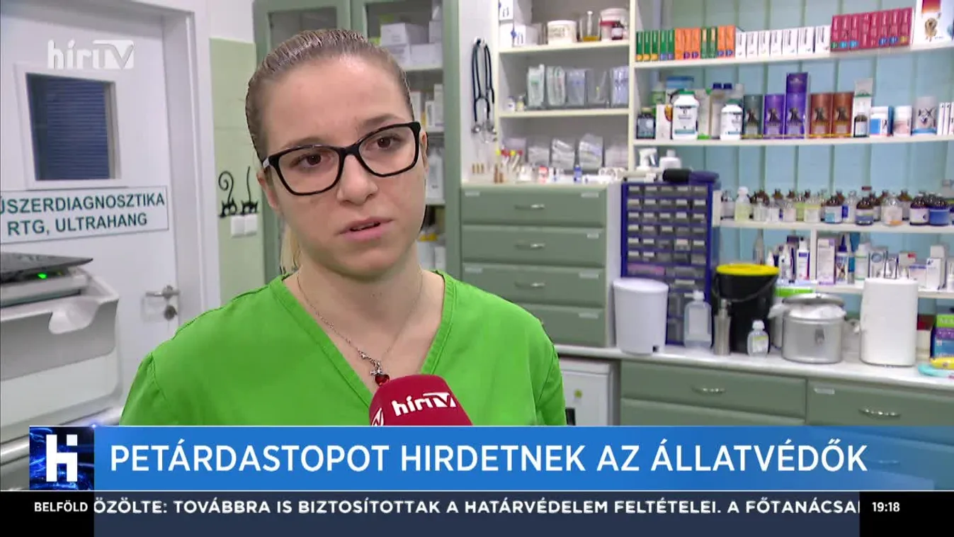 Petárdastopot hirdetnek az állatvédők