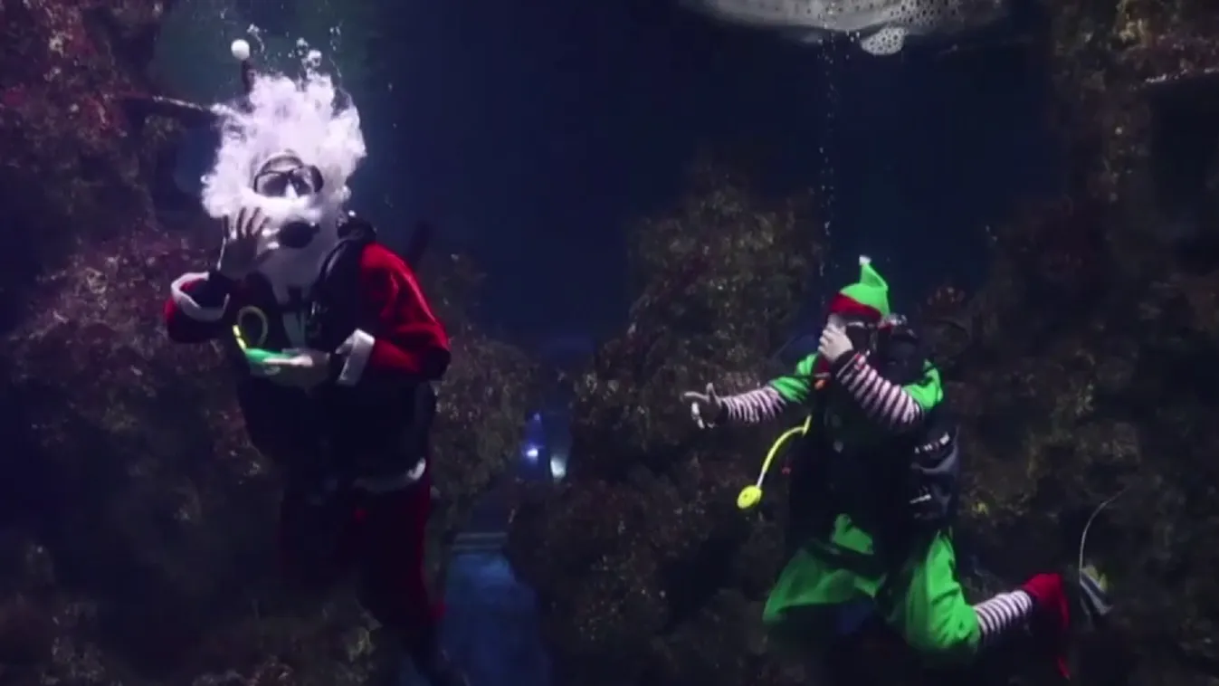 Radar - Karácsony világszerte