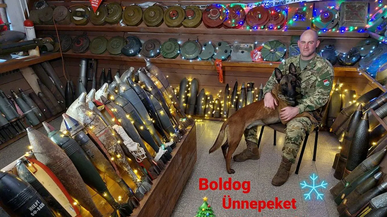 Bántalmazott kutyát vett magához és képez ki robbanóanyag-kereső kutyává a Magyar Honvédség