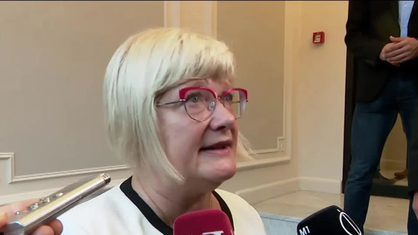 Gál Kinga: Ezer sebből vérzik Európa migráció tekintetében + videó