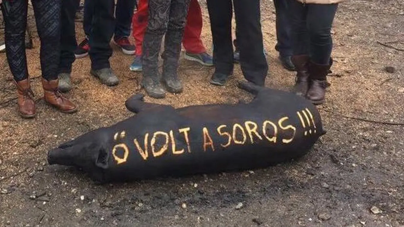 A kormány nem kommentálja Pócs János botrányos fotóját