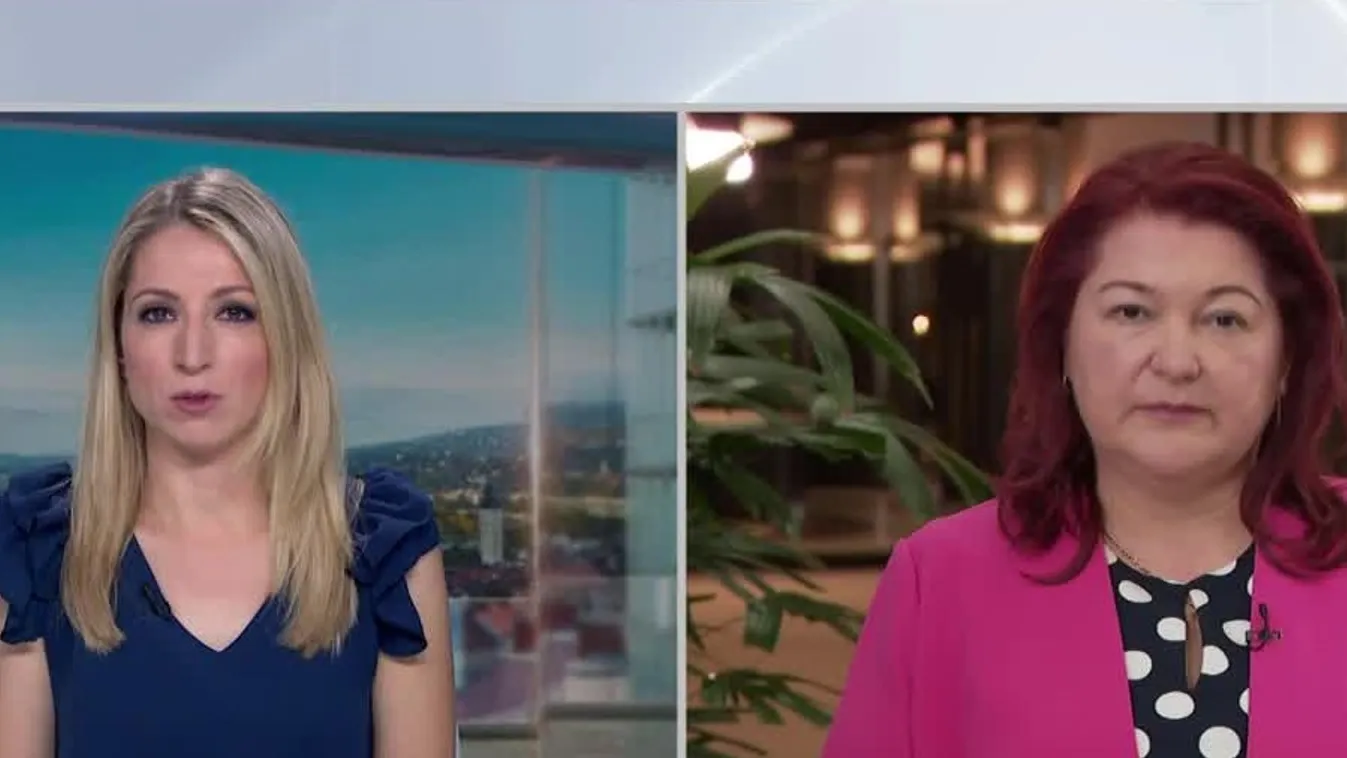 Rendeződhetnek a kárpátaljai magyar nemzeti kisebbségek ügyei + videó