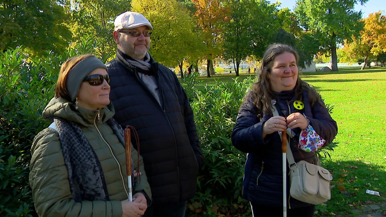 Radar: Videó vakoknak