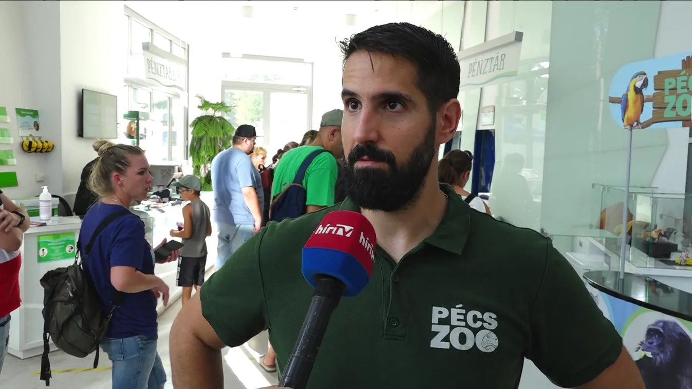 Radar - Állatkertek Éjszakája