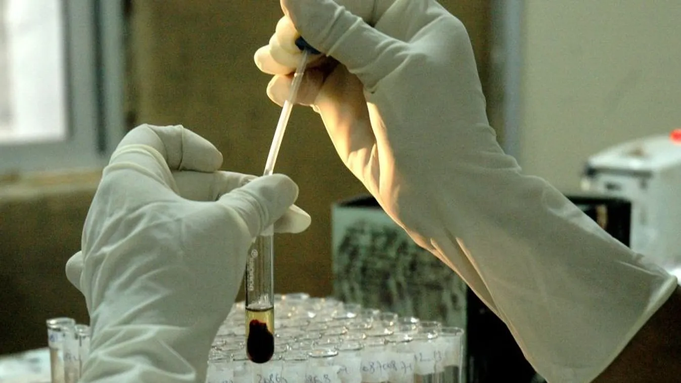 HIV-fertőzés – Gyógyhír