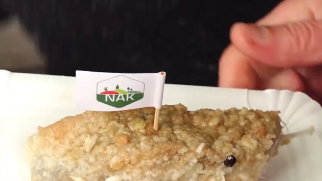 A fogyasztók a tavalyihoz hasonló árakon vásárolhatnak halakat az ünnepekre  + videó