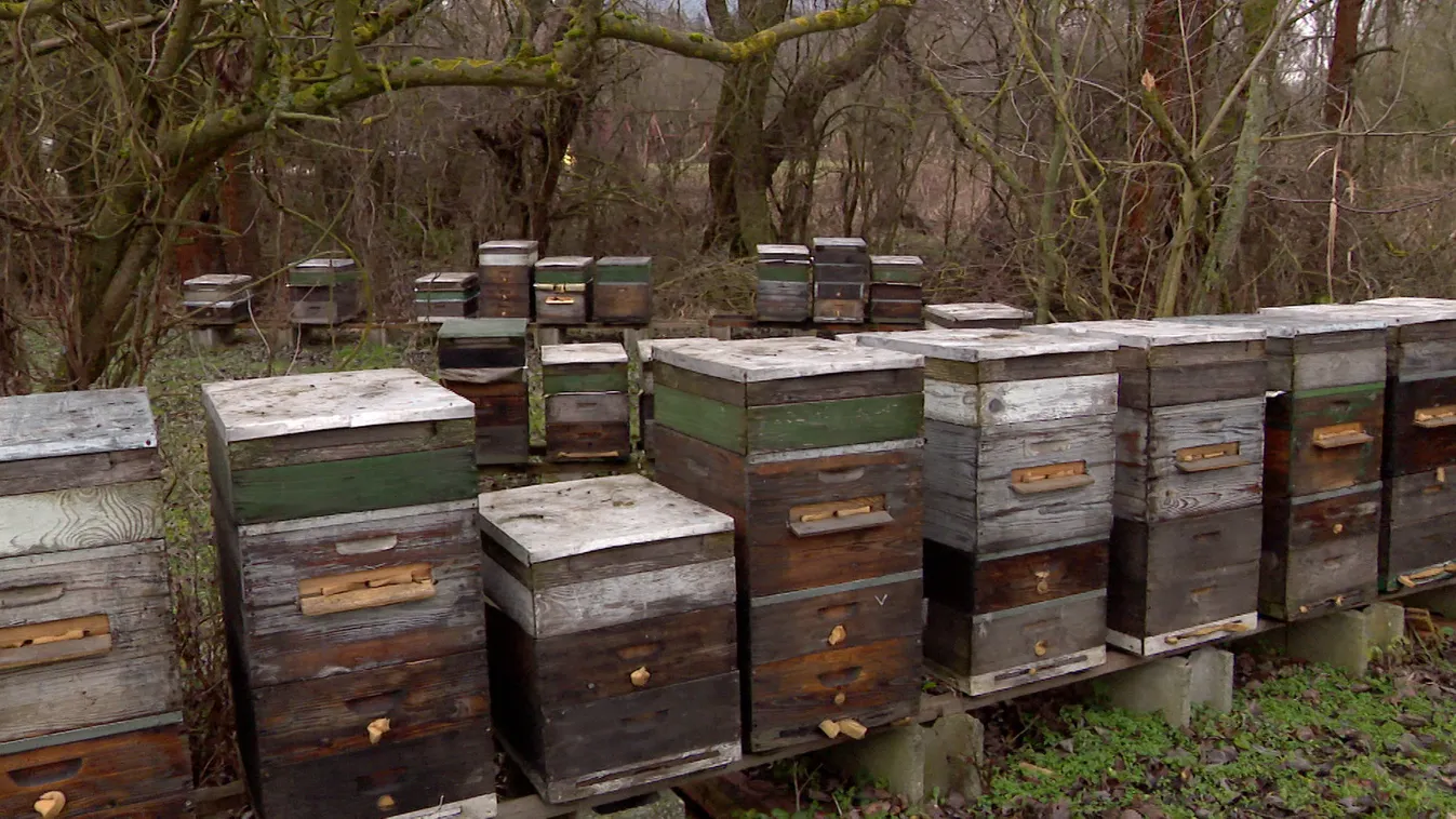 Radar - Mennyire káros az enyhe tél Magyarországon?