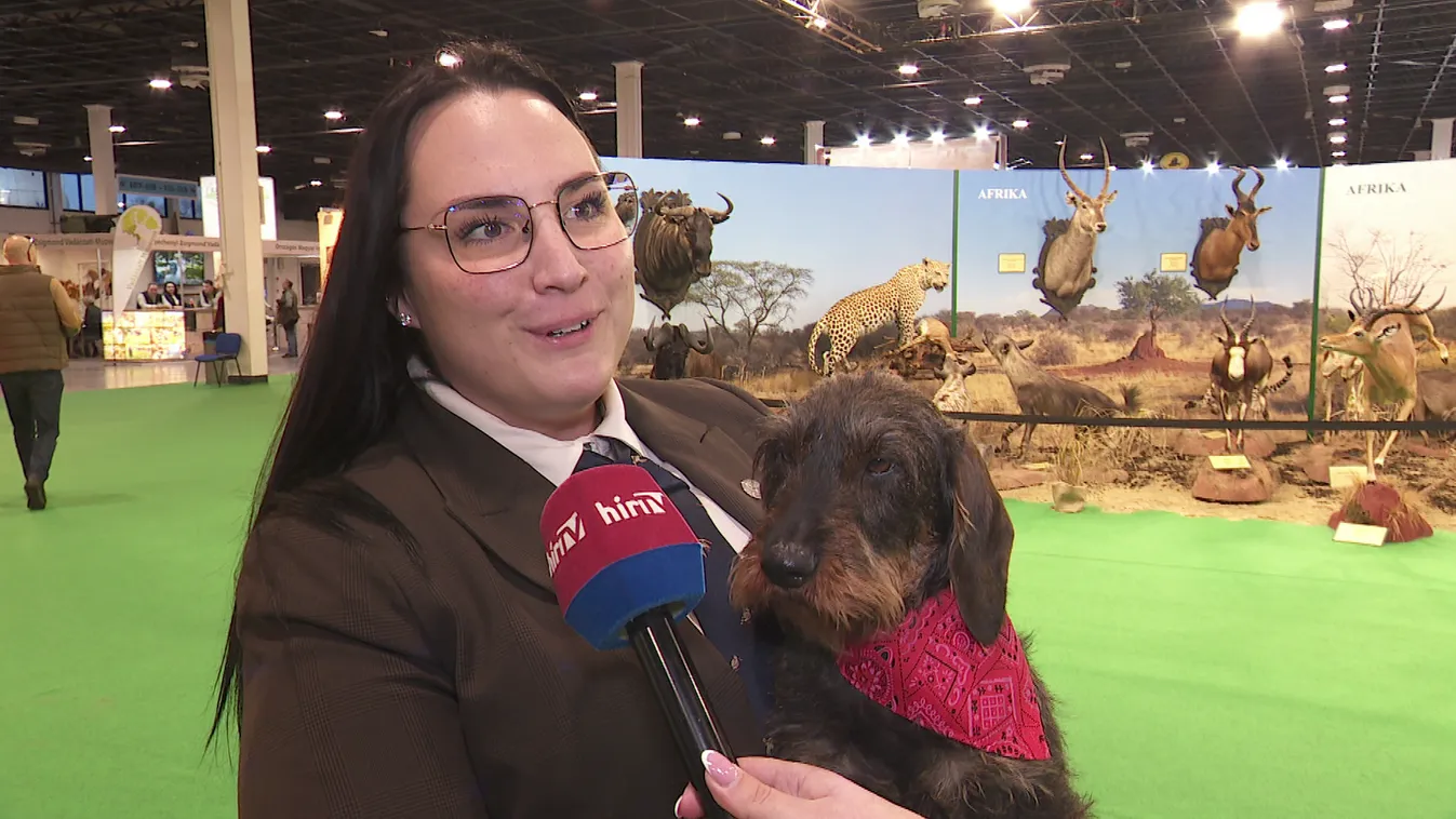 Megnyílt a 30. FeHoVa kiállítás + videó